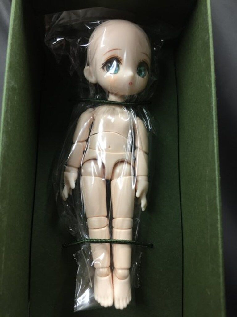 オビツ11 Dollybird 韓国版Ribbon