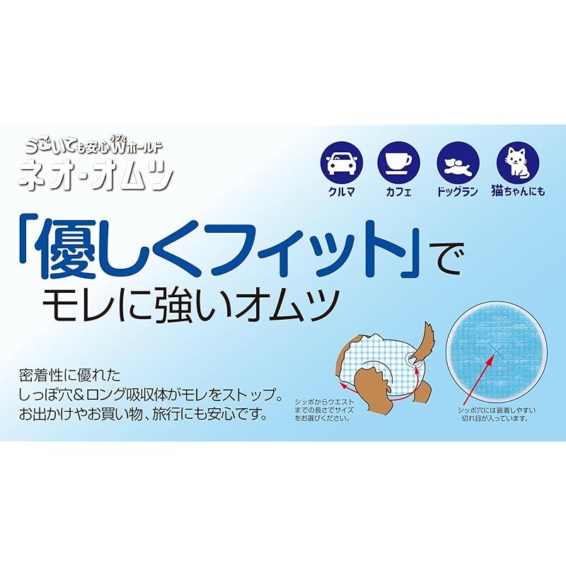 26枚入り