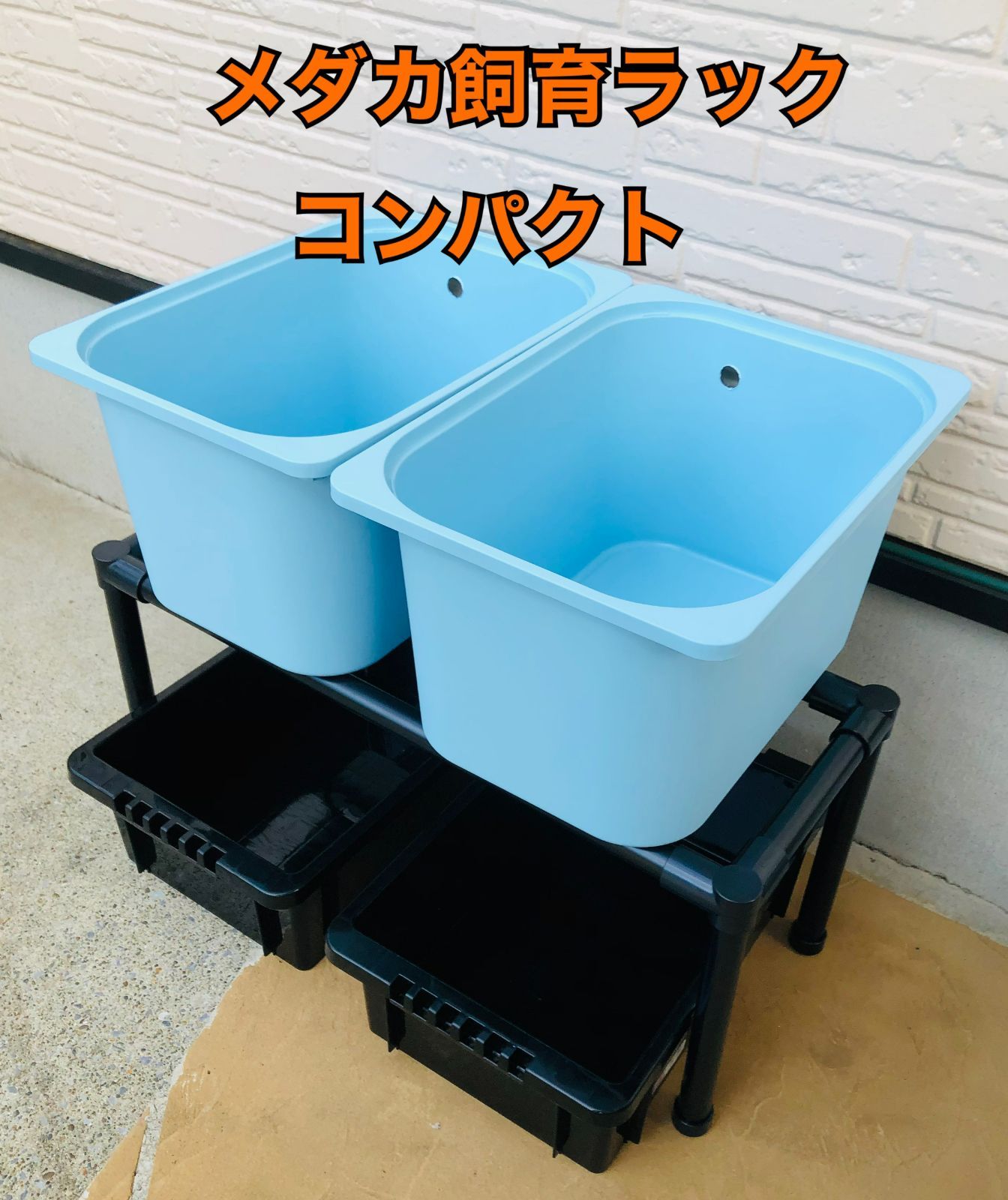 メダカ飼育ラック ブラック コンパクト 【接着剤付】 NVBOX13 4
