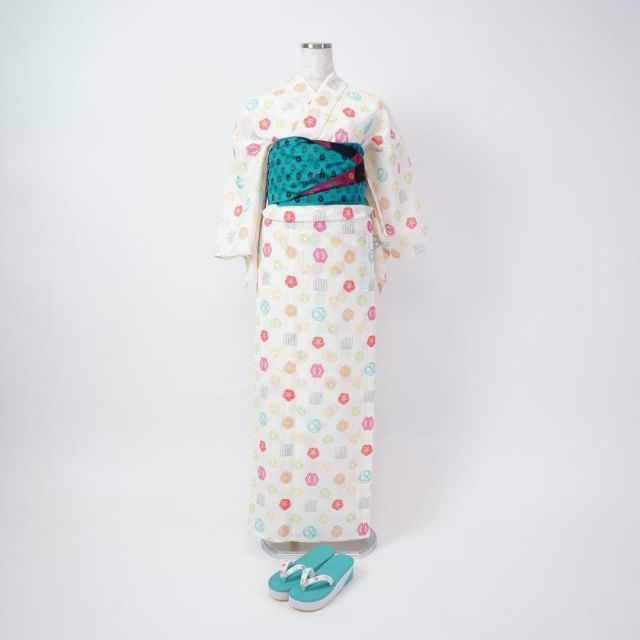 oreocereus celsianus 13苗 抜き苗 oreocereus celsianus 13苗 抜き苗