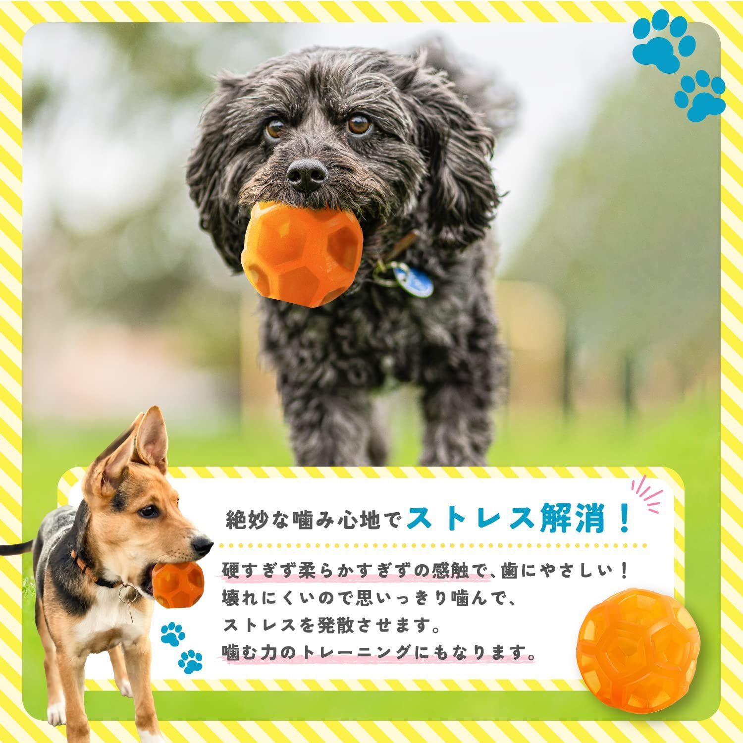 売れ筋がひ贈り物！ 歯形 犬用 ボール 橙 笛入り おもちゃ 犬 インスタ