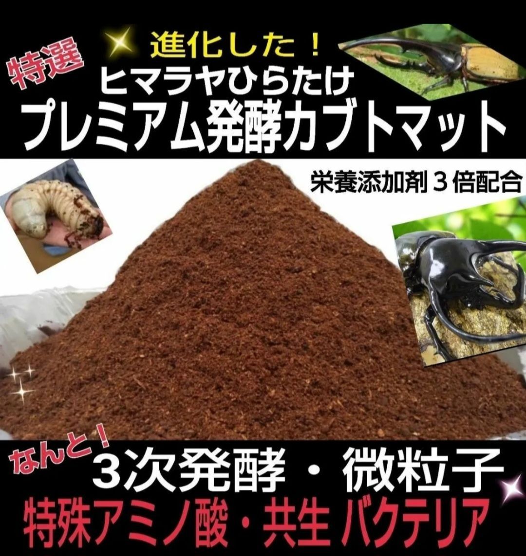 外国産カブトムシ幼虫が大きくなります