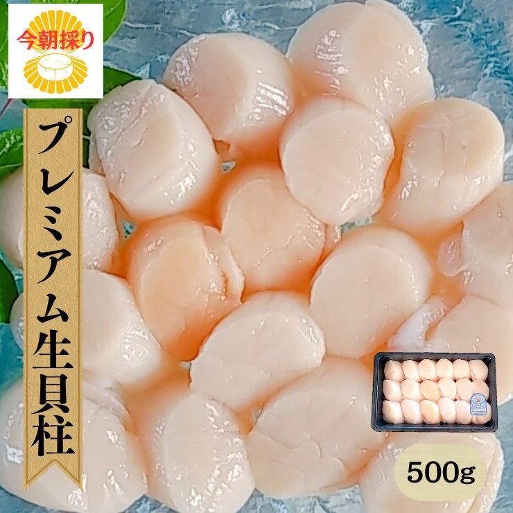 今朝採り『プレミアム生貝柱500ｇ 現在10～20玉』三陸 宮城 女川産 雄勝産 朝採り ホタテ ほたて 帆立 刺身 フライ 海鮮丼 1度も冷凍してない 冷蔵品 厳選割れなし 大きな貝柱 高級品 正規品 お取り寄せ 産直 グルメ ギフト のし対応