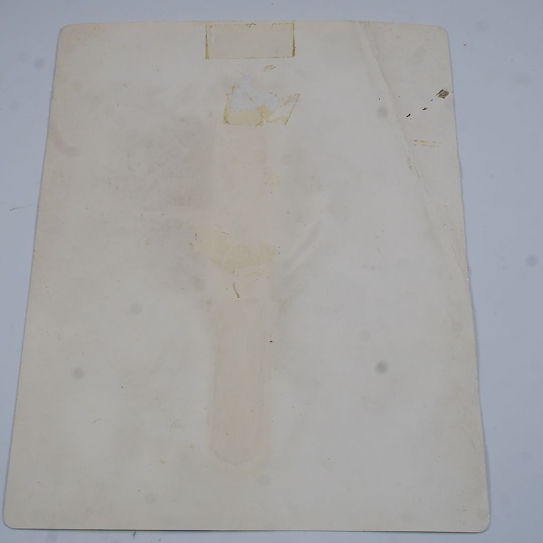 純正インストラクションカード 極上パロディウス KONAMI 出品672