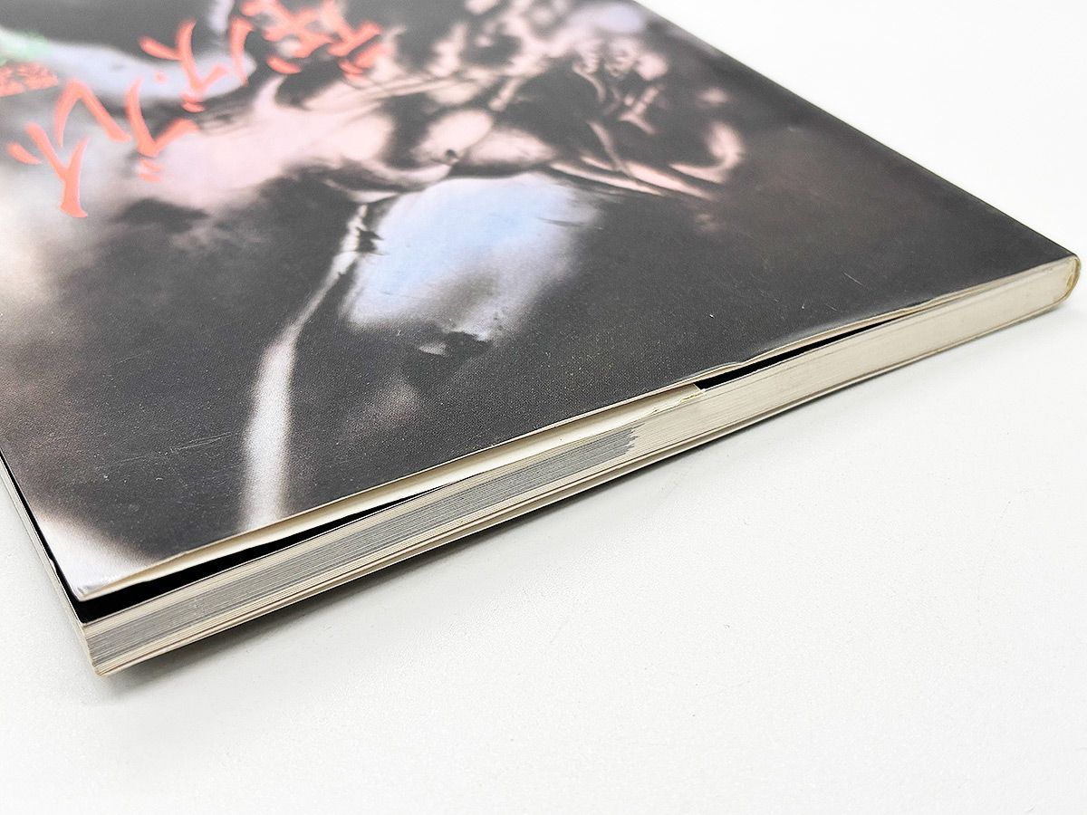 送料込】SFC デモンズ・ブレイゾン 魔界村紋章編 公式ガイド