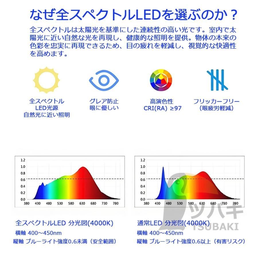 リビング照明