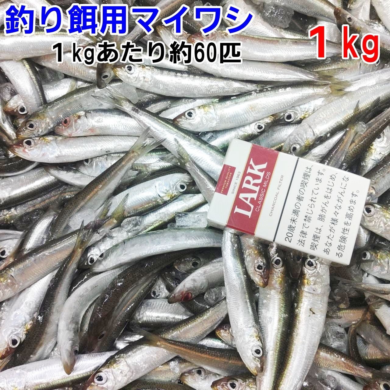 冷凍餌 マイワシ 1kg 約60匹 釣り餌 まいわし 鰯 釣りエサ 撒き餌 熱帯魚 観賞魚 アロワナ 淡水魚餌 大型魚のえさ【60】