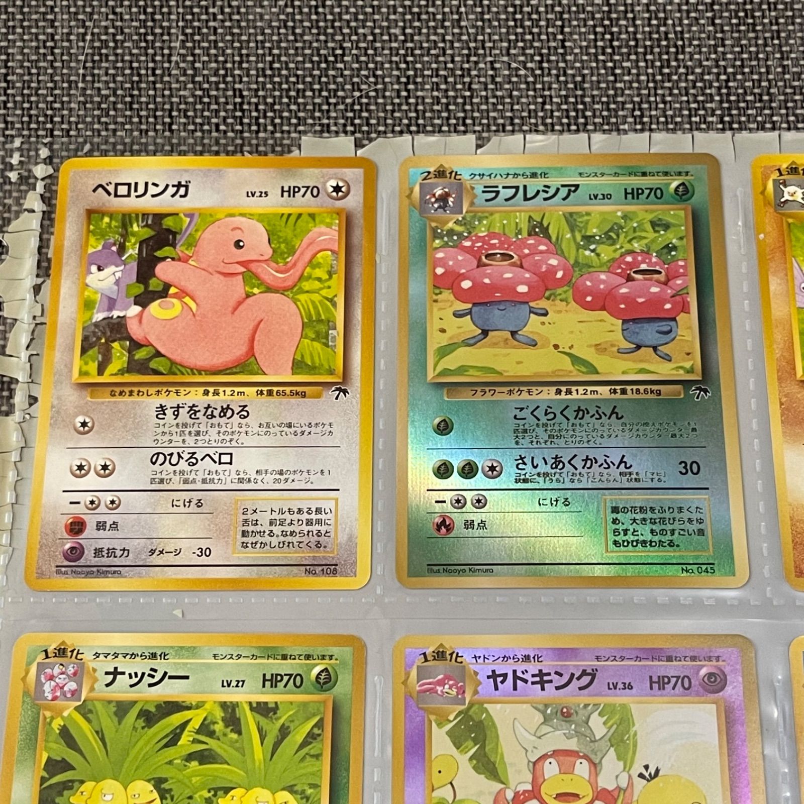 ポケモンカードゲーム 旧裏 サザンアイランド トロピカルアイランドファイルセット ポケモンカード サザンアイランド&トロピカルアイランドセット