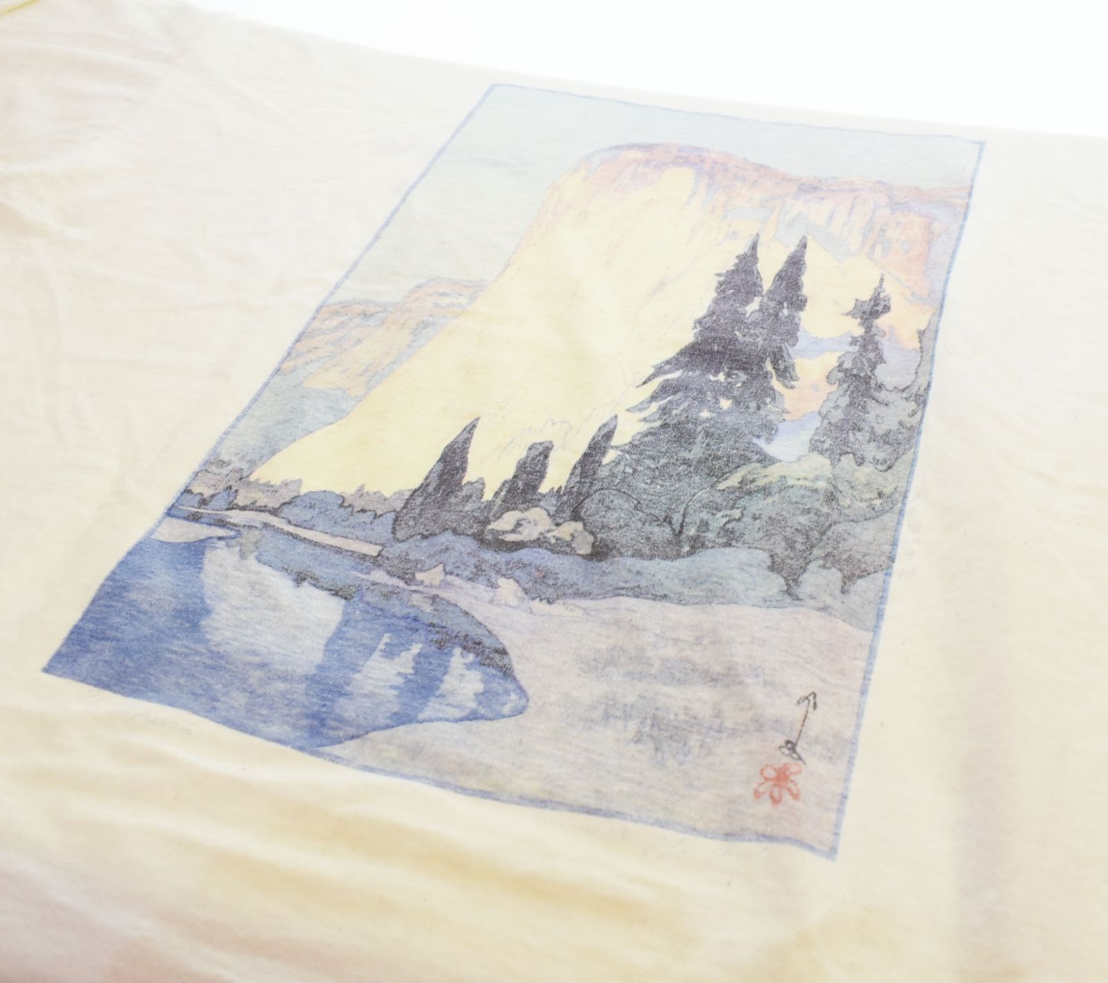 パタゴニア PATAGONIA 90s 90's USA製 Yosemite ヨセミテ 吉田博 前期