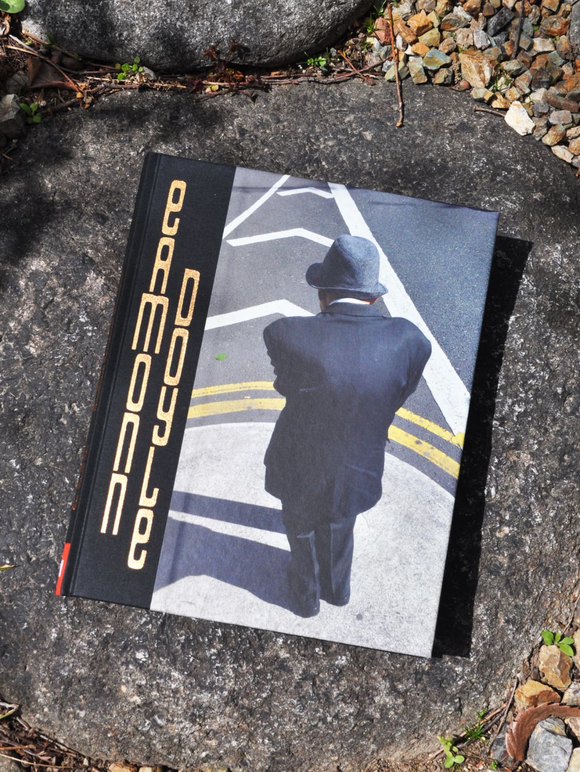 Eamonn Doyle 写真集　イーモン・ドイル EAMONN DOYLE by Eamonn Doyle イーモン・ドイル作品集 写真集 The