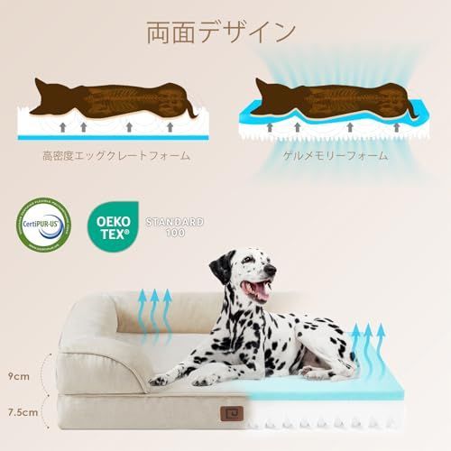 猫 ベッド