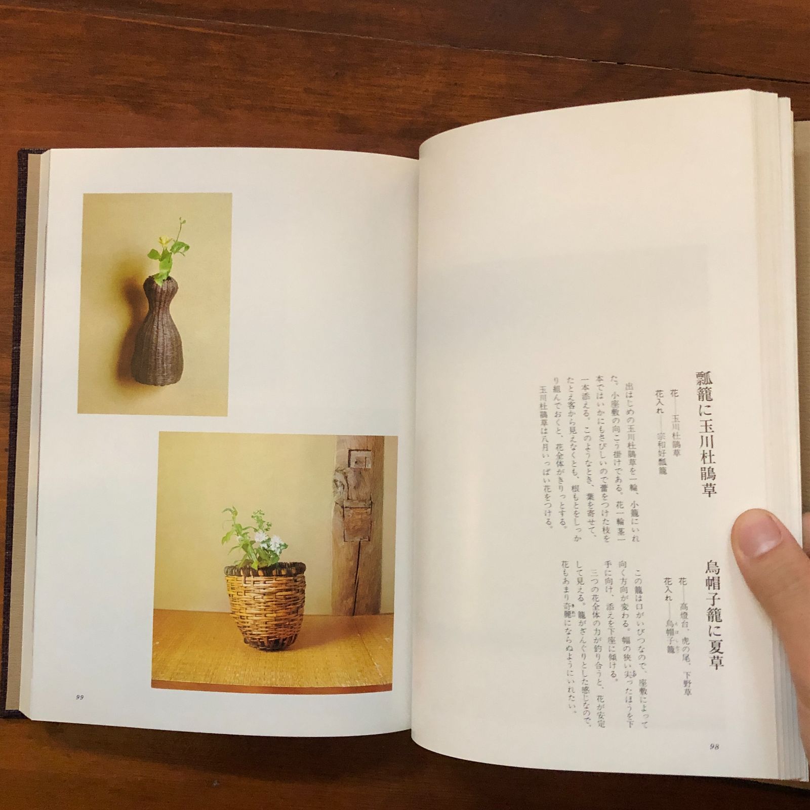 茶花入門 1979.8 田中仙翁 著 271p 主婦の友社 27cm ☆茶道 茶の湯