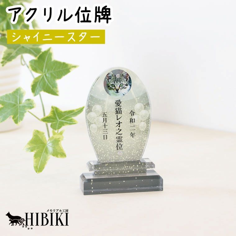 ペット位牌 アクリル オーバル シャイニースター フル プリント 写真入り きらめき かわいい ペット仏具 マグネット式犬 猫 ペット供養 ペットロス 位牌 アクリル製 仏具 仏壇 デザイン モダン 手元供養