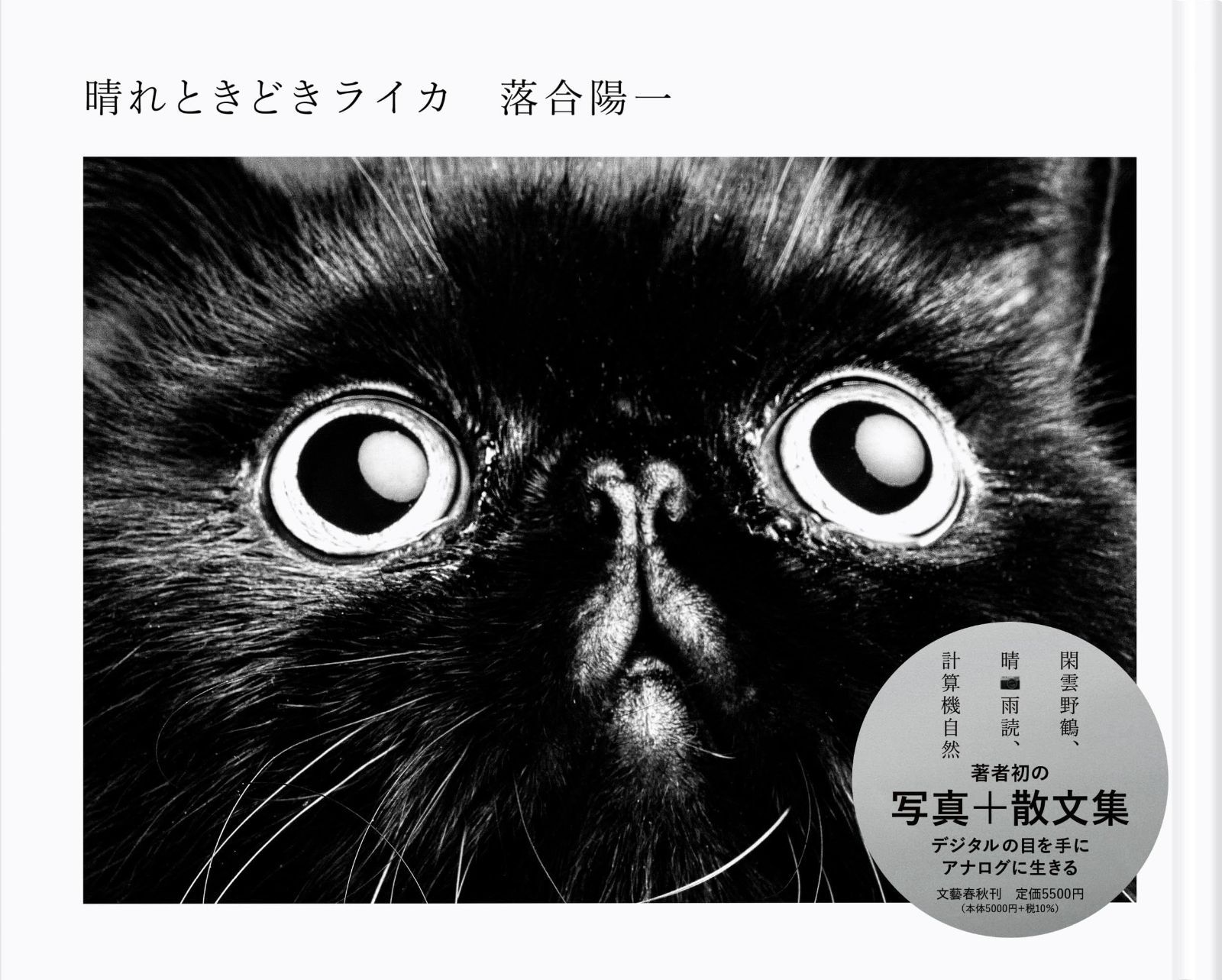 2024 1960's デンマーク 象嵌 チーク材 フォールディング オープン
