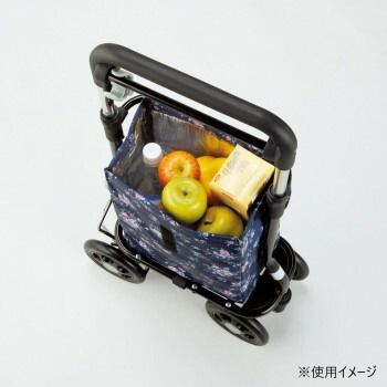 RS-300KH