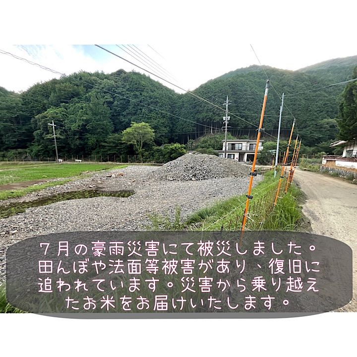 専用 自然栽培米 山口県美祢産ミルキークイーン 20キロ精米 里山直送 専用 自然栽培米 山口県美祢産ミルキークイーン 20キロ精米 里山直送