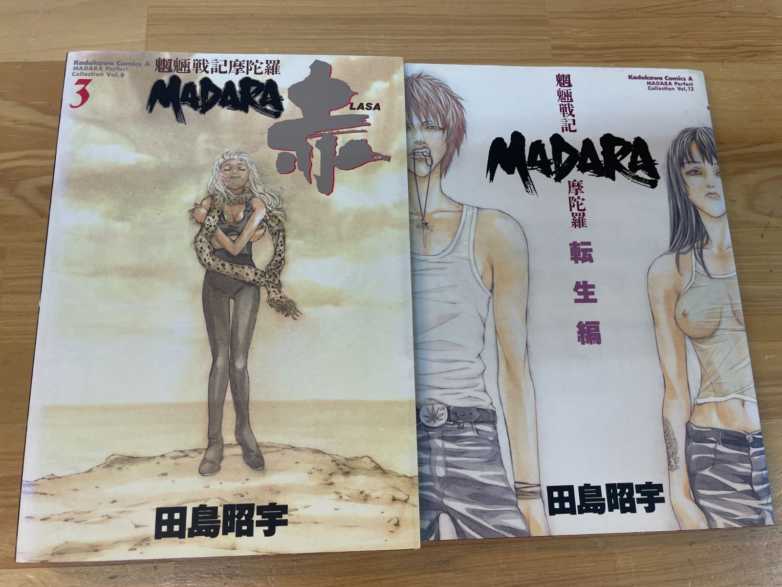 魍魎戦記MADARA 完全コレクション 全12巻 田島昭宇 田島昭宇MADARA完全コレクション 1~12巻セット 魍魎戦記MADARA