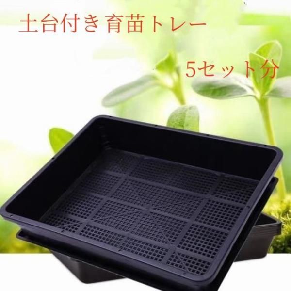 新品 ポットレスコンテナ トレー 2枚セット 【楽天市場】ポットレス