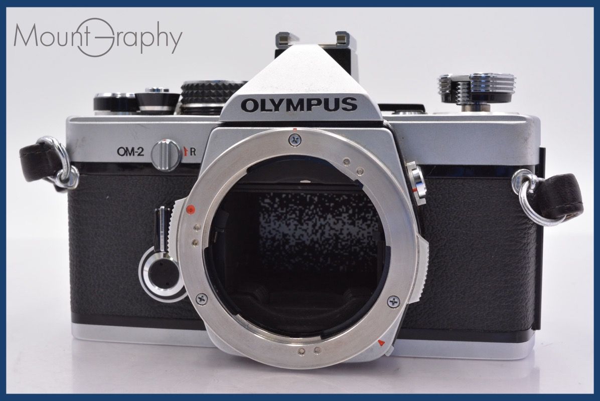 うみぼうず様専用)ハスイモ 種芋 10Kg