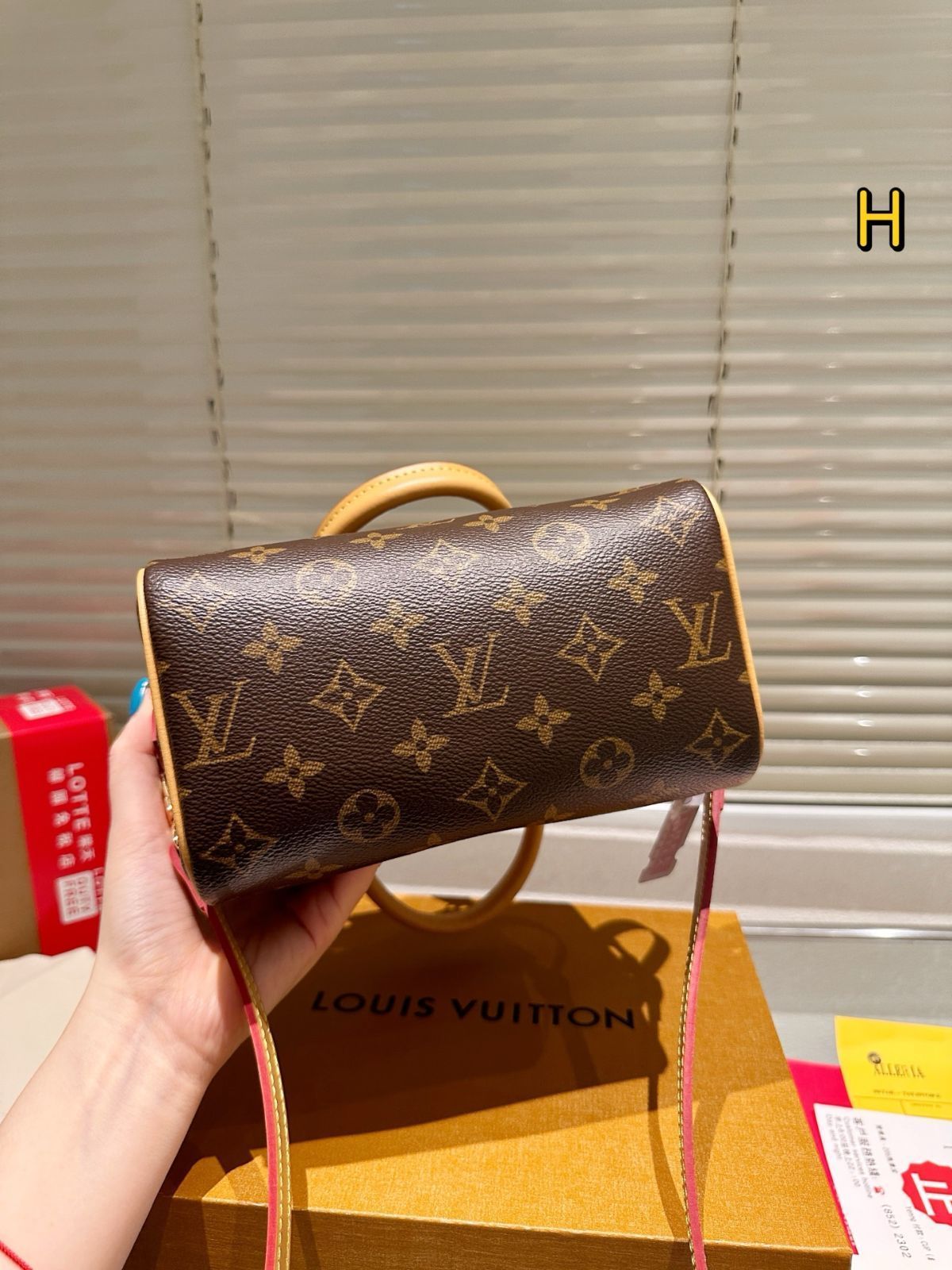 今日特価】LV (Louis Vuitton) Speedy 20 ピローバッグ