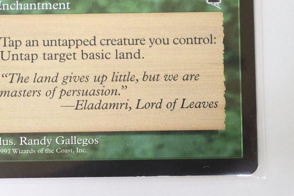 マジック ザ ギャザリング MTG テンペスト 緑属性 大地の知識 Earthcraft 英語 トレカ WWW_STEELWINDOWSANDDOORS_COM