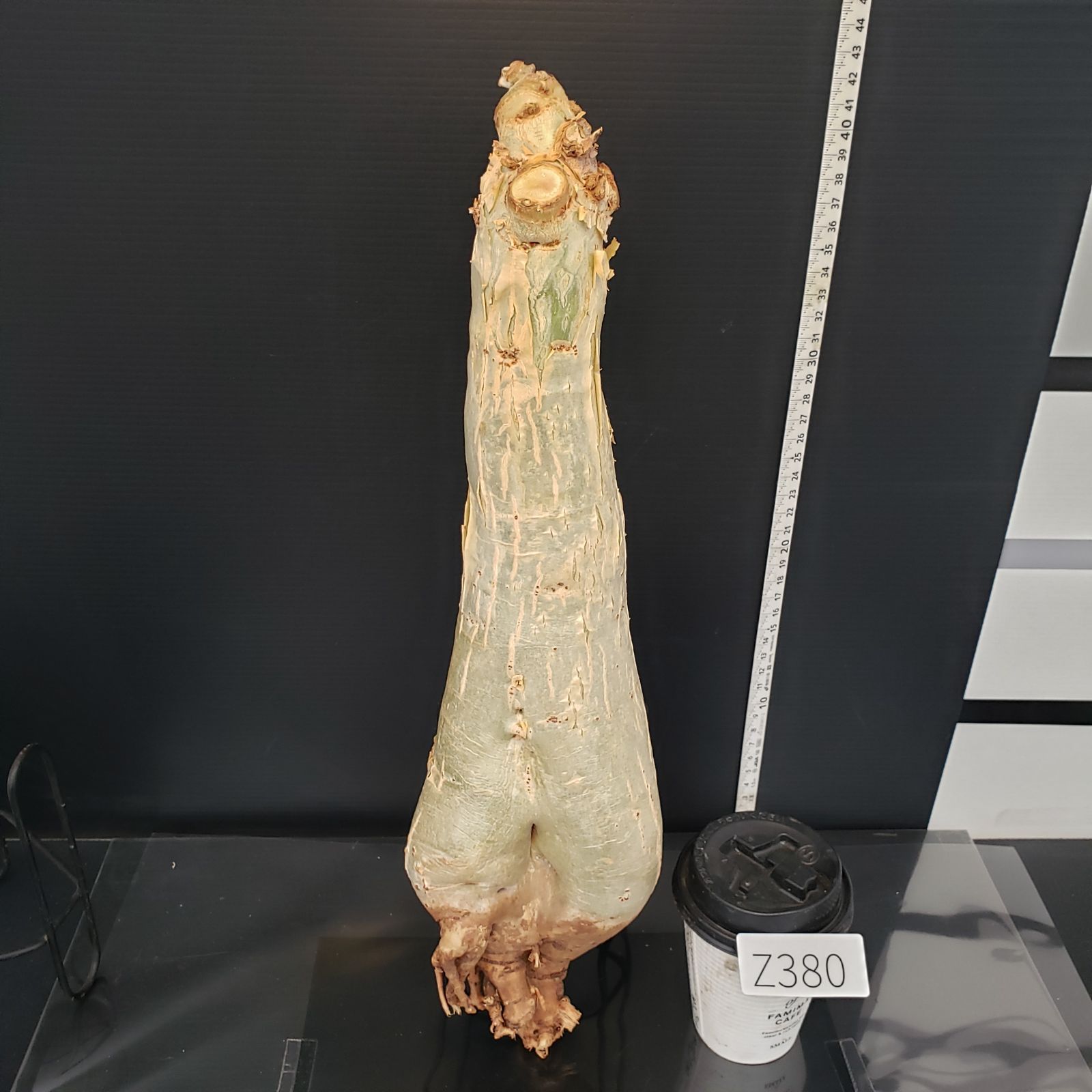 園芸用品 – 木屋