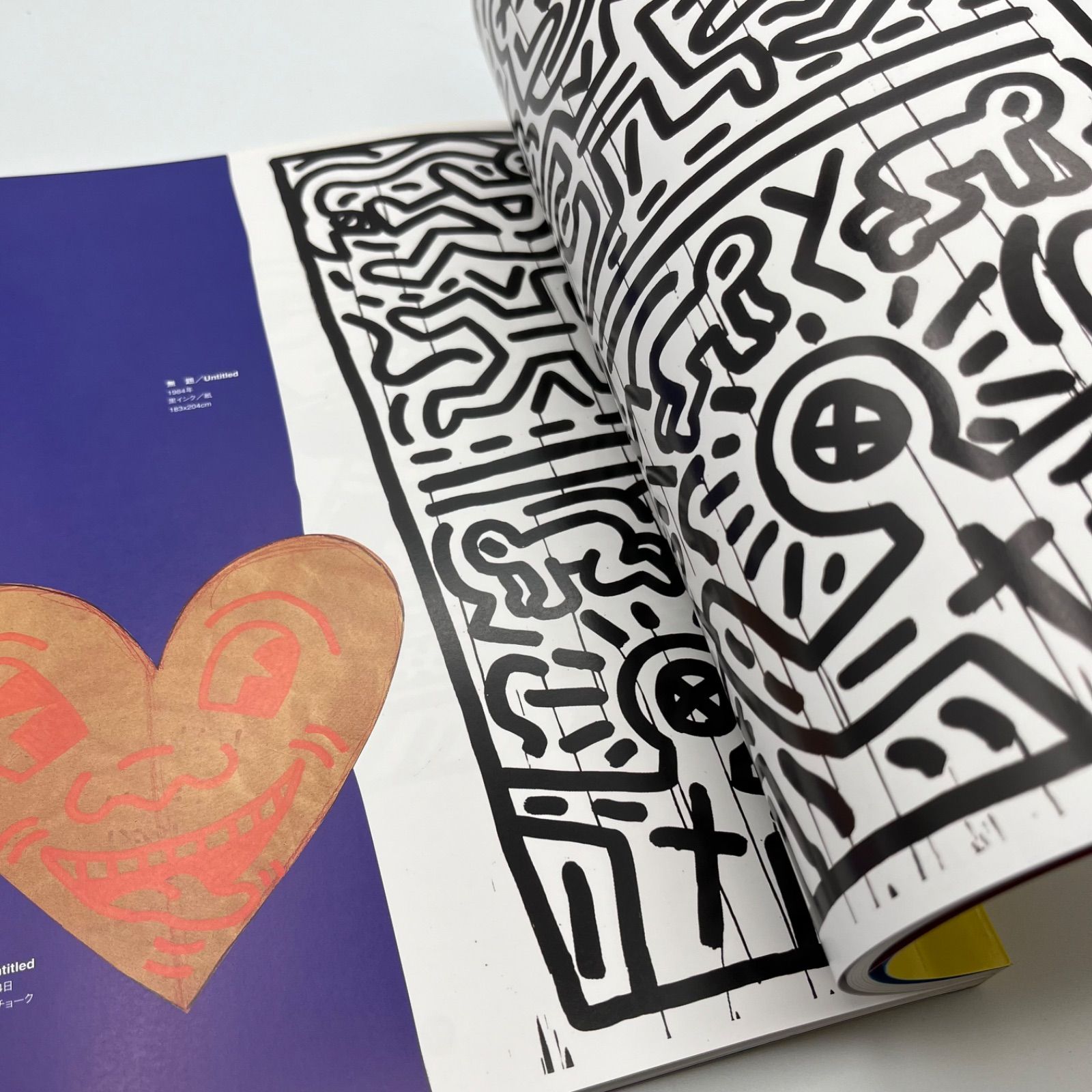 キースヘリング Keith Haring 図録 画集 キース・ヘリング【The Keith Harring Show】 - 京都にある