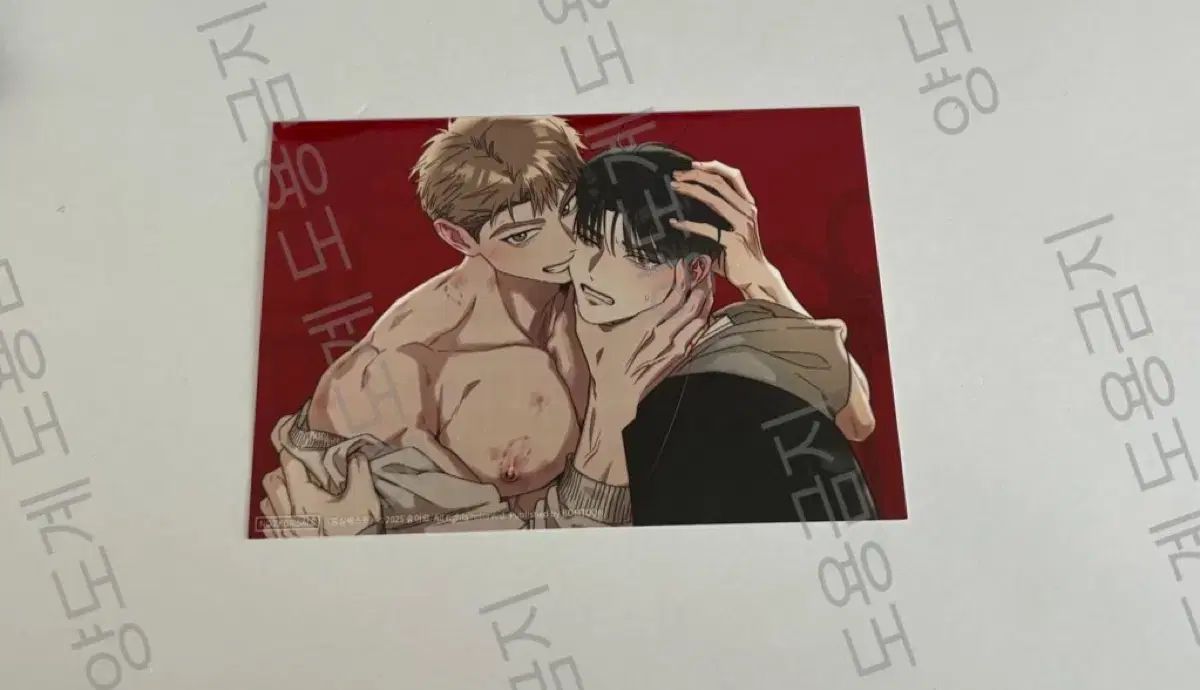 レボム ホンシルクエスト ホン キュー 特典 ヘッダー プリント写真