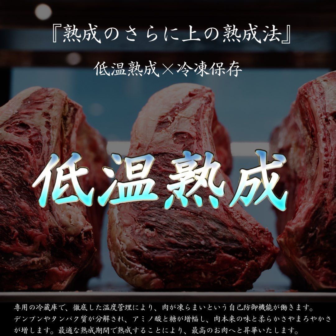 純国産　氷温熟成シャトーブリアン100g×2枚 フィレステーキ100g×2枚 純国産 氷温熟成シャトーブリアン100g×2枚 フィレステーキ100g×2