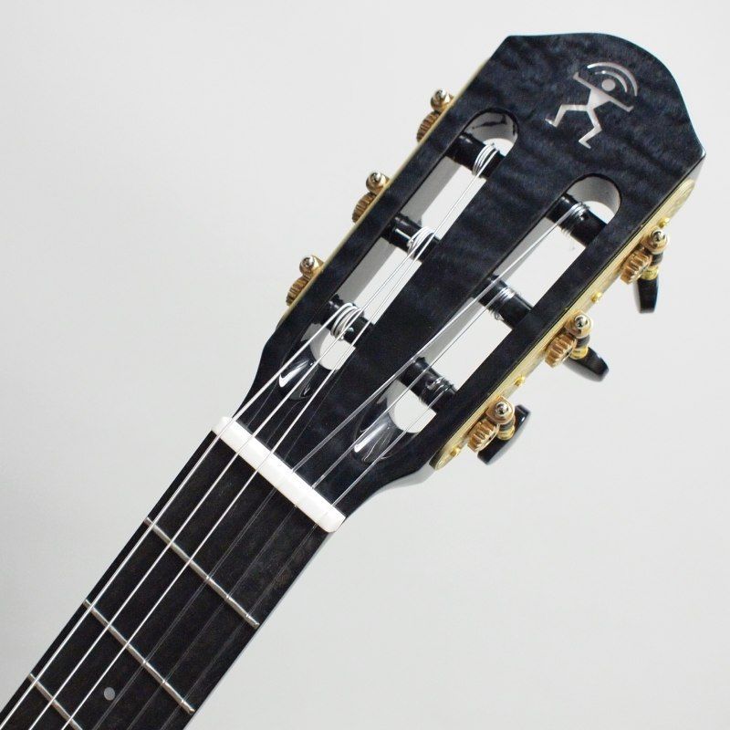 aNueNue aNN-LN77E Full Size Thin Body エレガット〈アヌエヌエ