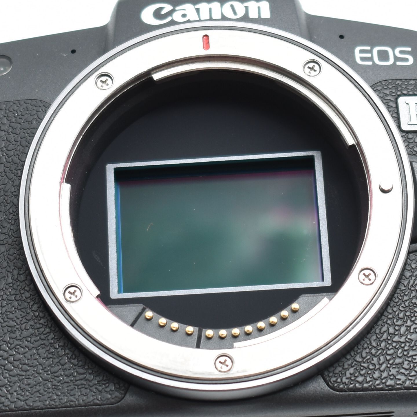 Canon ミラーレス一眼カメラ