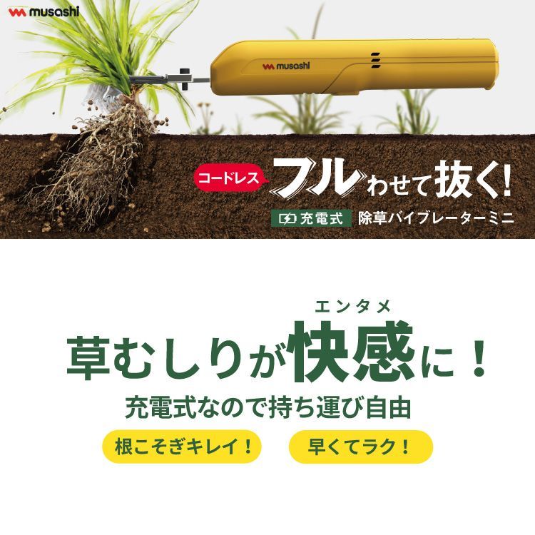 ミニ コンパクト