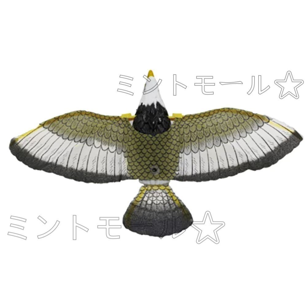 猛禽類、ハト、水鳥マニュアル 猛禽類ハト水鳥マニュアル | ピ-タ- H.ベイノン |本 | 通販 | Amazon