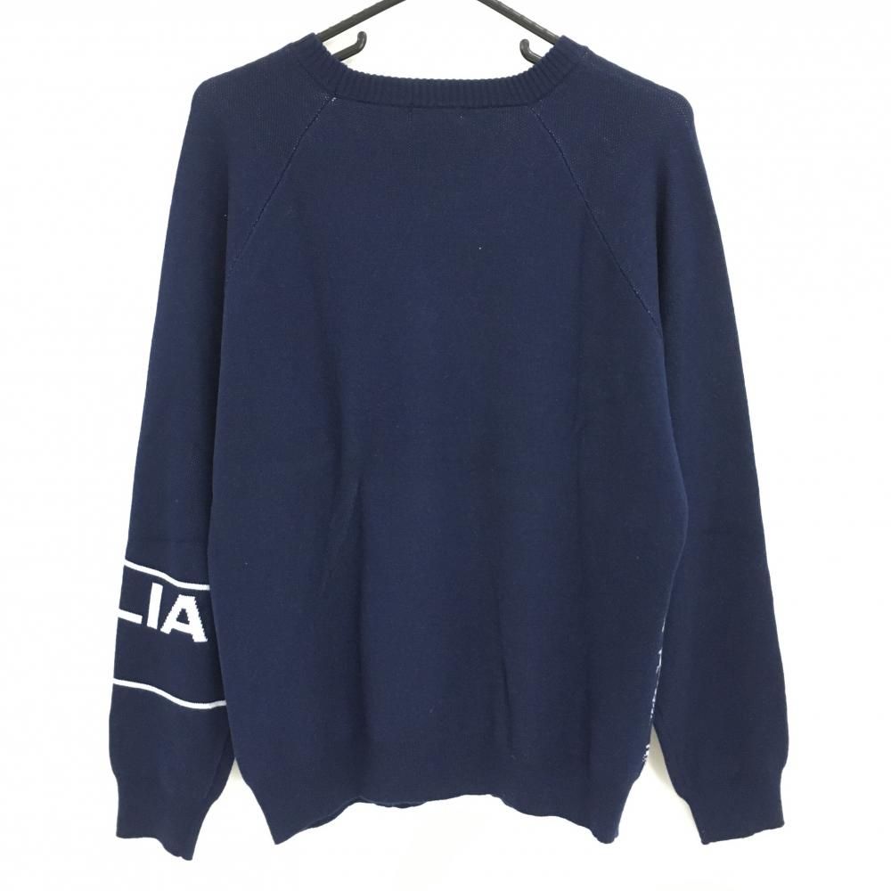 アークテリクス マイコンビブ Lサイズ アークテリクス マイコンビブ L