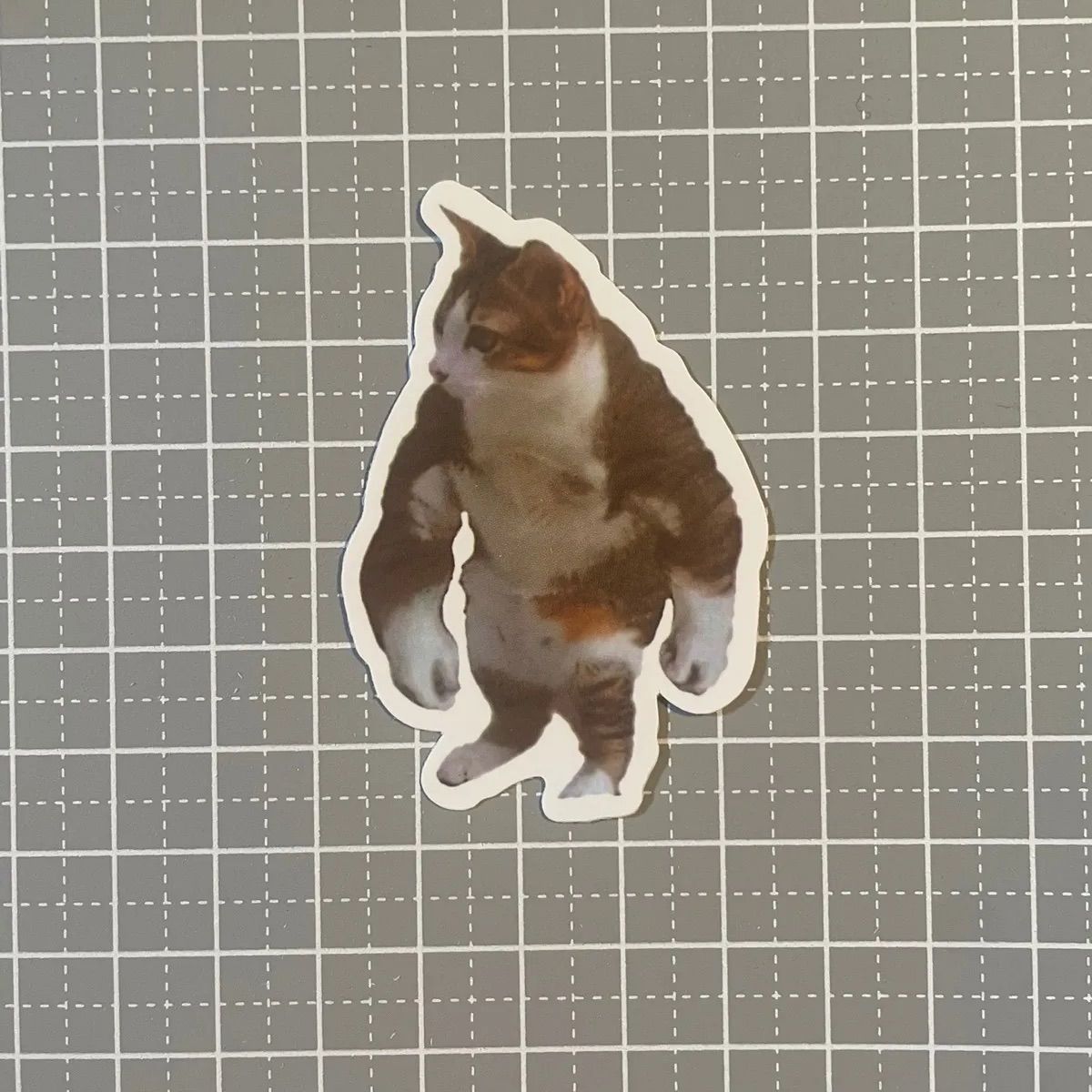 A084】防水ステッカー 猫 猫ミーム ムキムキ 二足歩行 - メルカリ