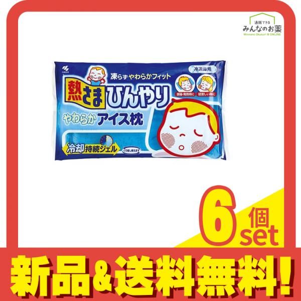 熱さまひんやり やわらかアイス枕 1000g 6個セット
