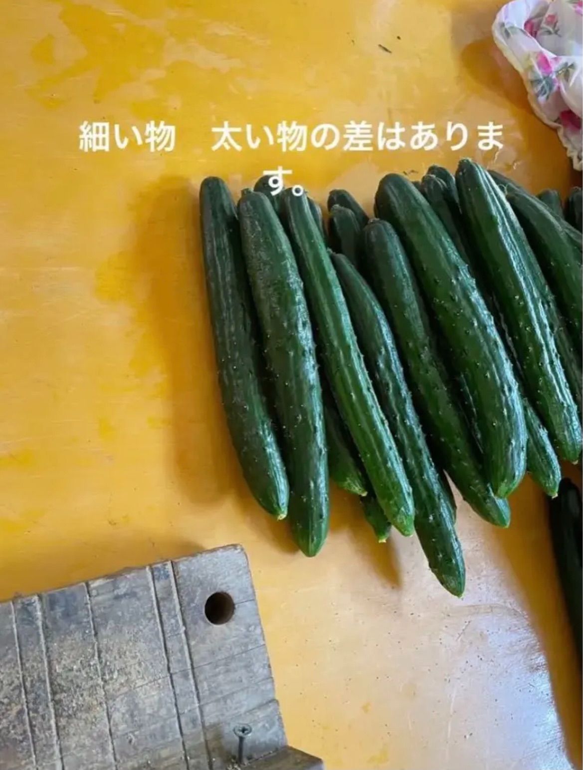 新鮮♬ 大分県産ハウスきゅうり　（胡瓜　キュウリ 新鮮♬ 大分県産ハウスきゅうり （胡瓜 キュウリ - メルカリ