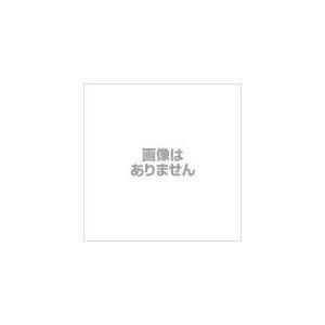 夏2点セット韓国風