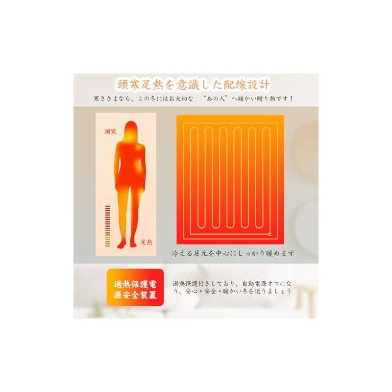 SIWENGDE 電気毛布 掛け敷き兼用 170 130cm 電気ひざ掛け 電気ブランケット ふかふか ソファ ブランケット 6段階温度調整 5つタイマー機能 敷きかけ兼用 3分速暖 ふわふわ 肩掛け 膝掛け ヒーターブランケット シングル コントロ 1 WWW_KANDAIZUMI_COM