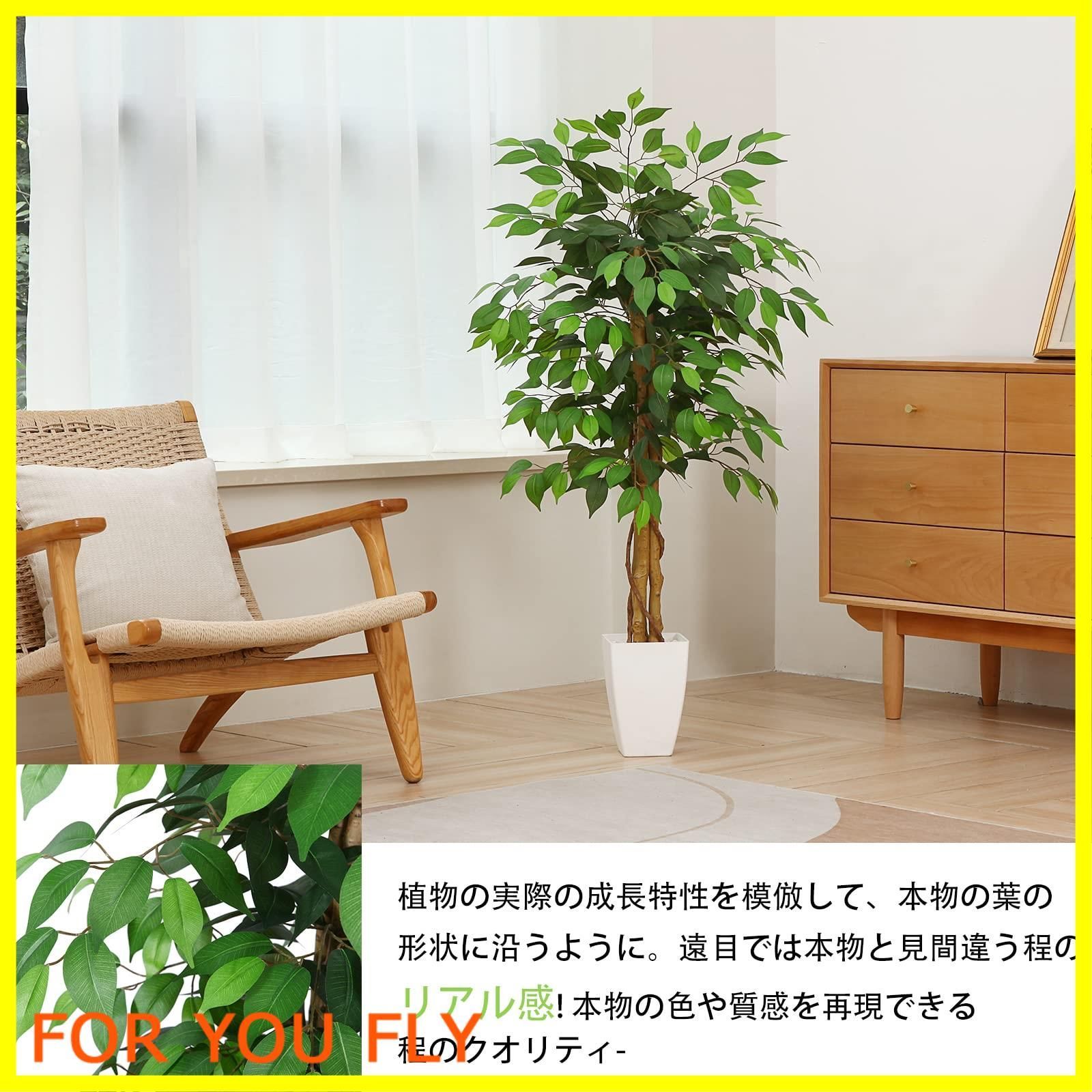 光触媒