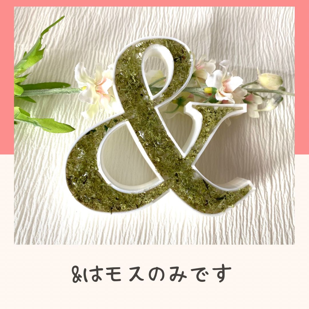 オーダー】イニシャルオブジェ 3文字セット 画像Aタイプ2文字とモス 