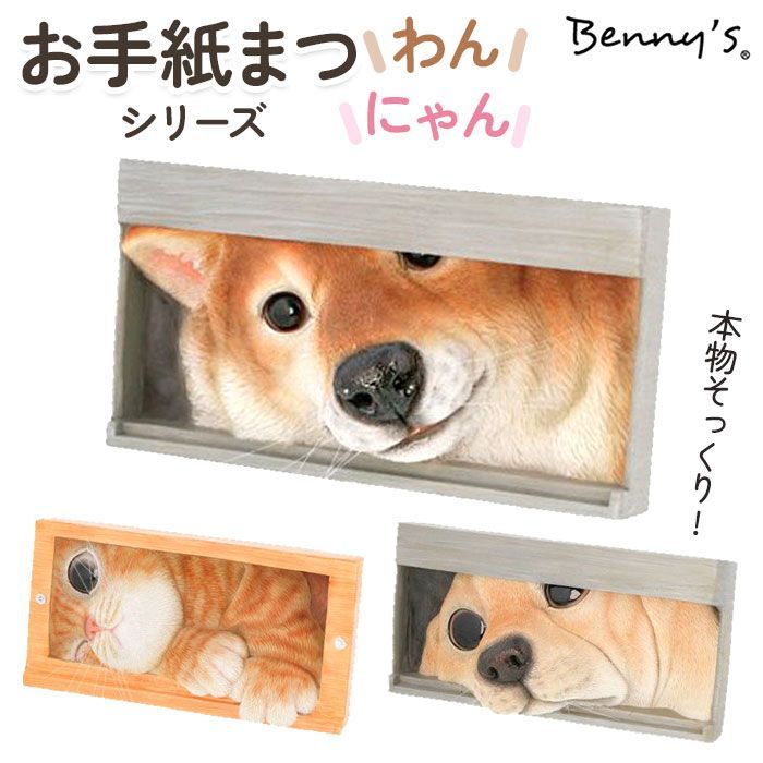 ☆ 茶トラ ☆ お手紙まつわん まつにゃん ベニーズ 犬 Benny's QB-001