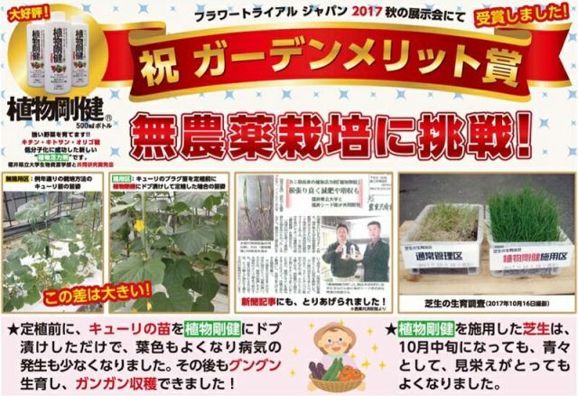 ケース販売 植物剛健