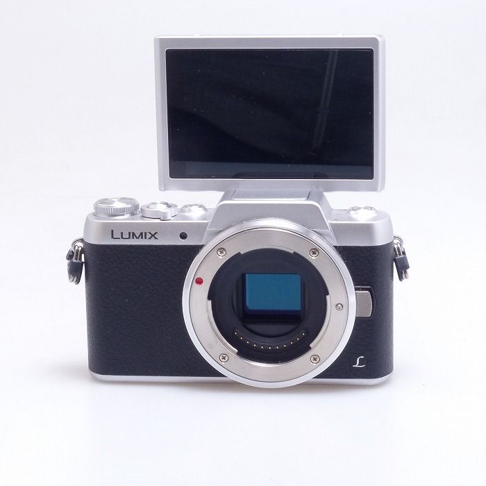 パナソニック Panasonic DMC-GF7