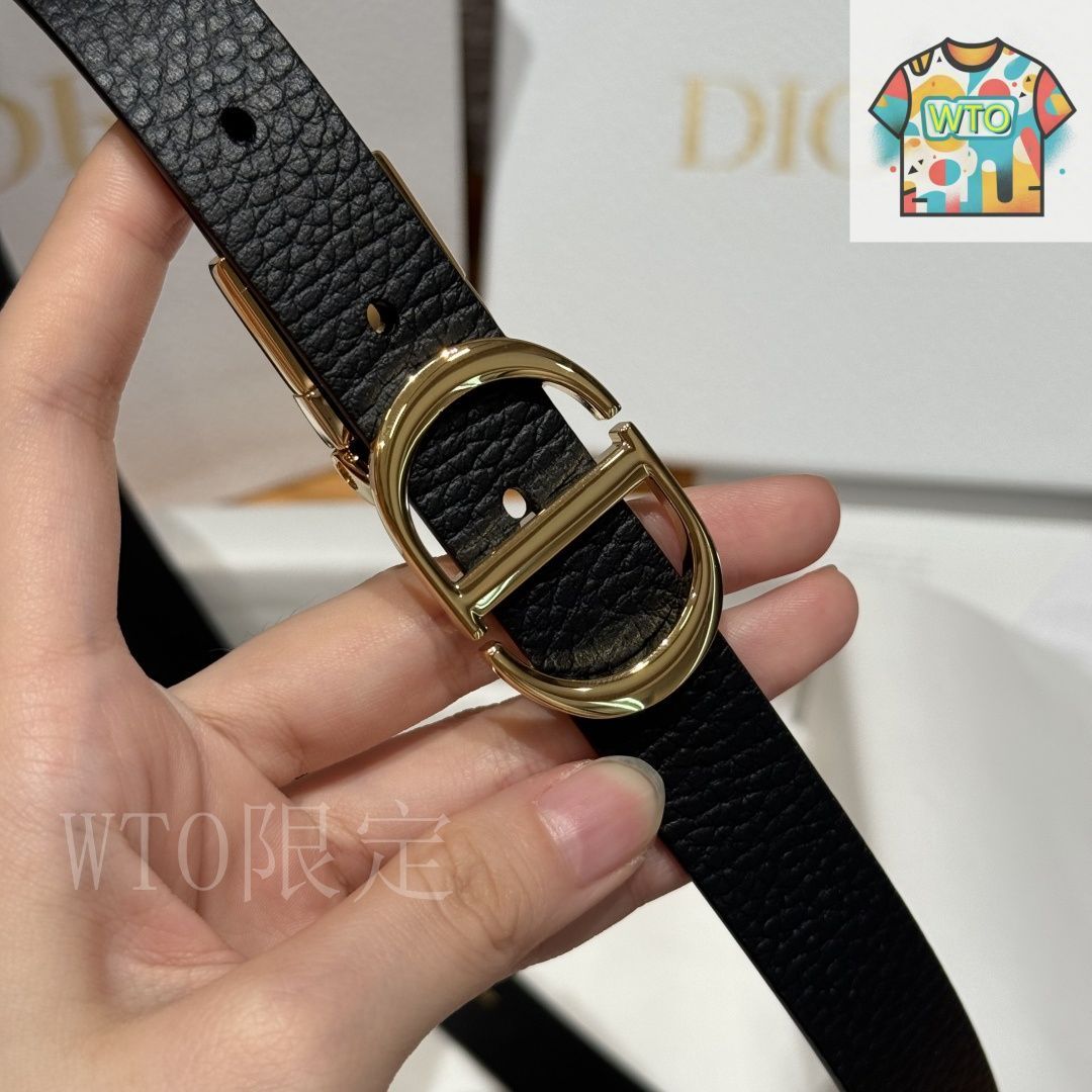 ★送料込★DIOR サドル ベルトバッグ VIPセール!レア！】DIOR（ディオール）サドルバッグショルダー