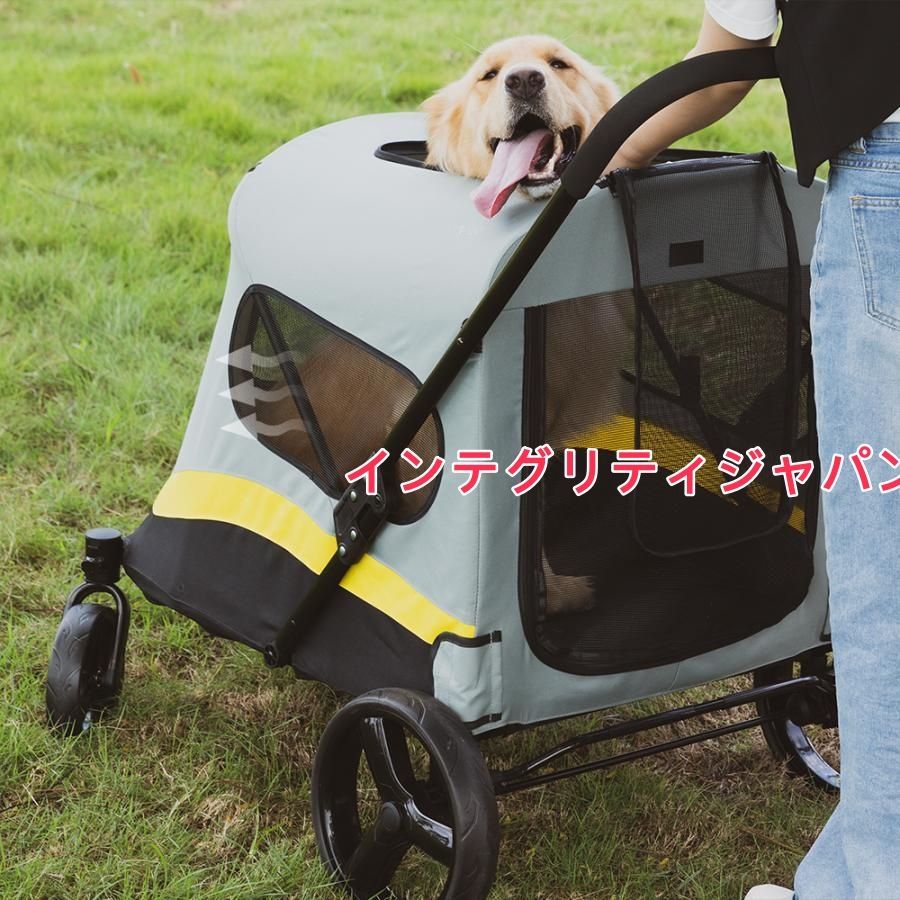中型犬