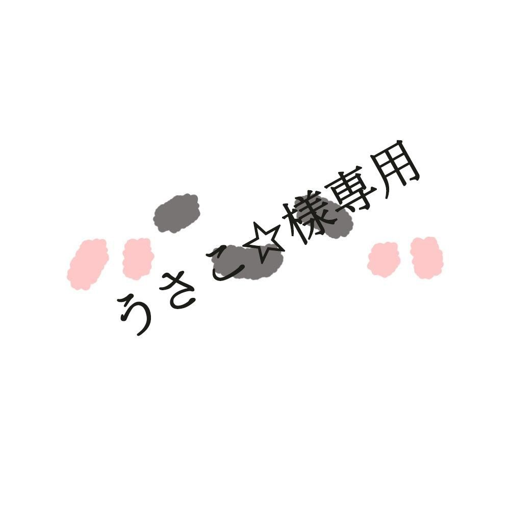 うさこ様専用 （うさこ様専用 | フリマアプリ ラクマ）