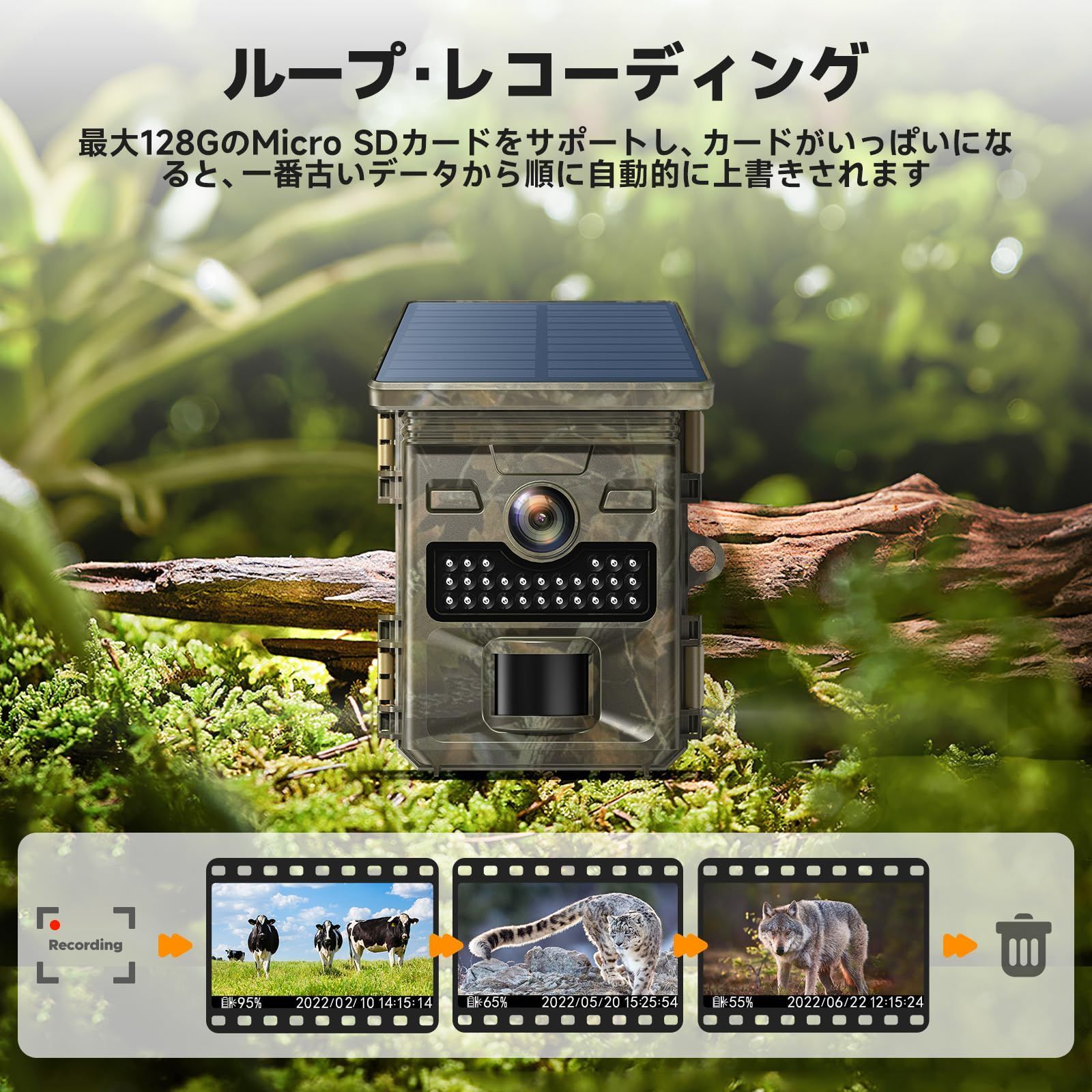 ナイトビジョン