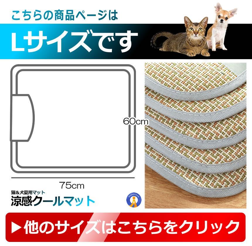 速乾 ひんやり