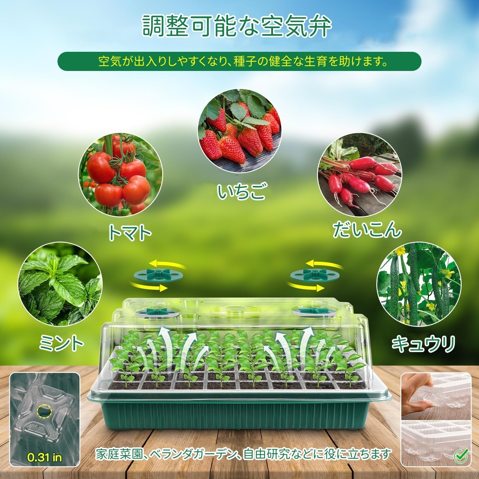 発芽育苗セット 野菜栽培 種子トレイ 多肉植物 高くする透明カバー 植物育成ライト付き 家庭菜園 育苗ポット 園芸|植栽|庭園 2セット プラグトレイ BlumWay